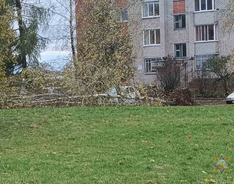 МЧС подвело итоги воскресной непогоды