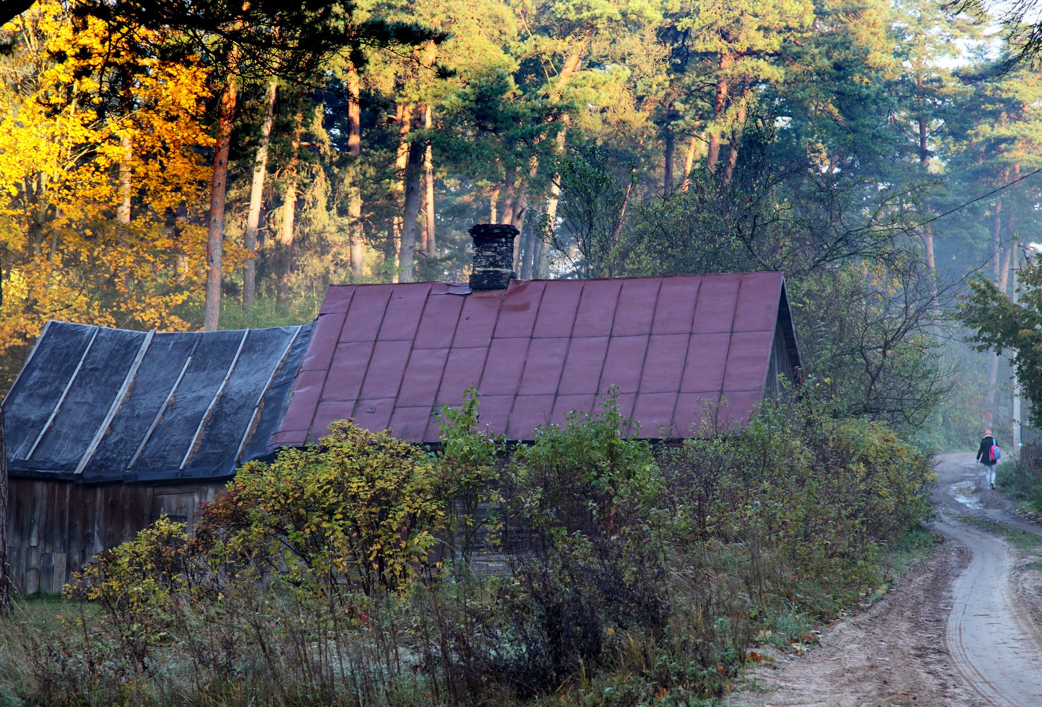Ні дня без здымка. Пайшла з жыцця гродзенская фатографка Наталля Дораш