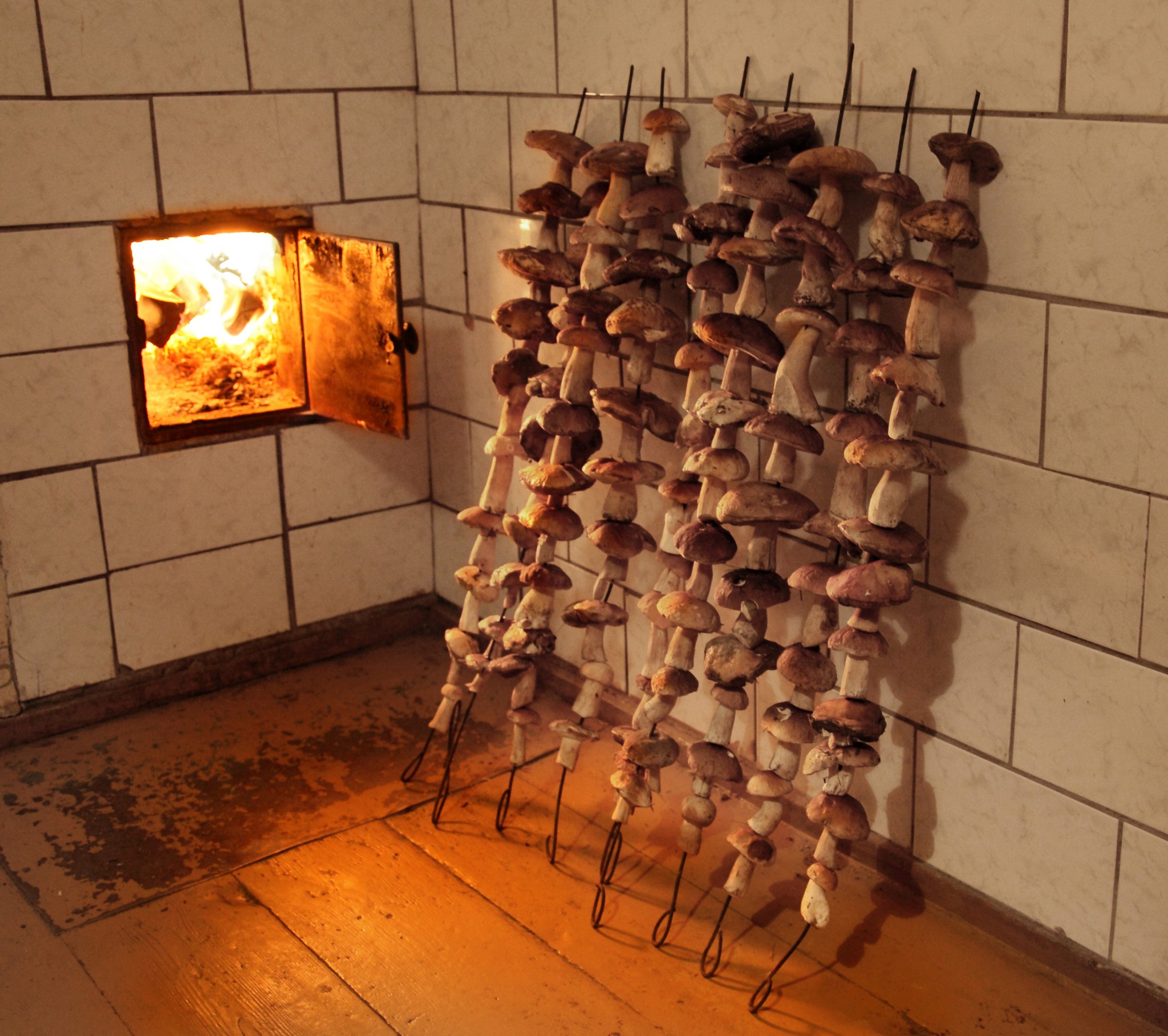 Ні дня без здымка. Пайшла з жыцця гродзенская фатографка Наталля Дораш