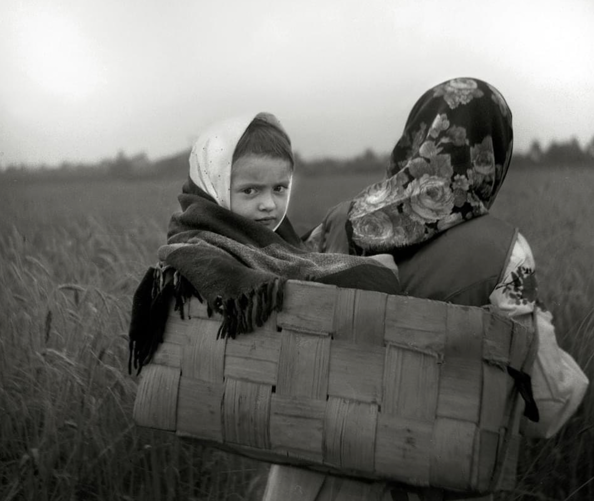 Ні дня без здымка. Пайшла з жыцця гродзенская фатографка Наталля Дораш