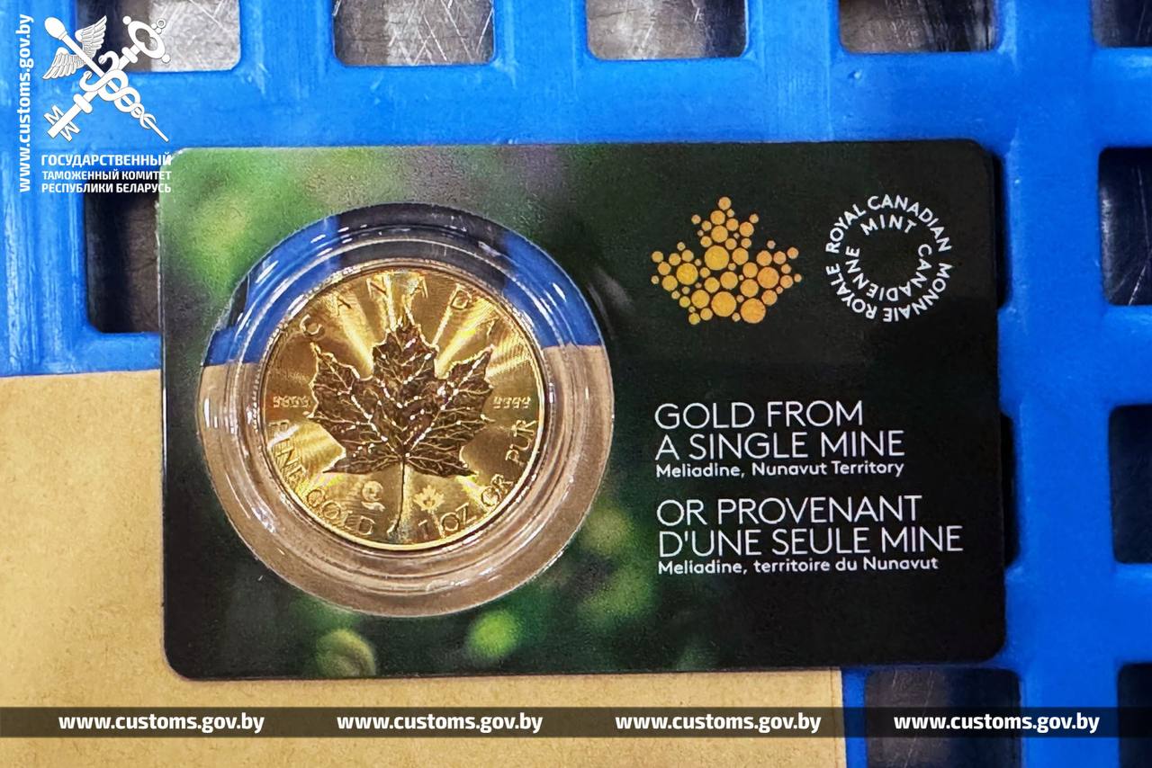 Гражданка Германии не задекларировала 15 слитков золота при въезде в Беларусь