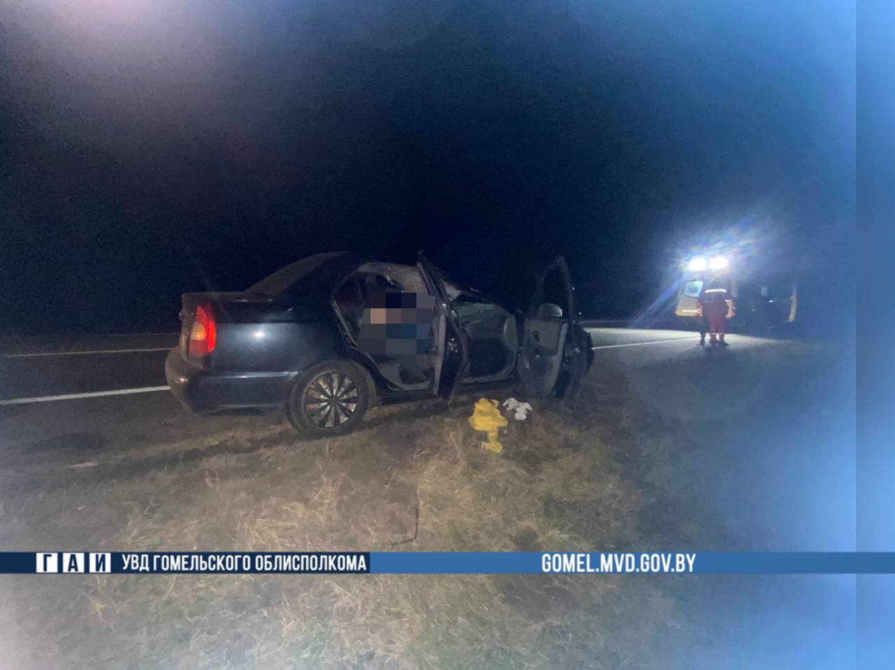 В ДТП с лосем под Калинковичами погиб пассажир