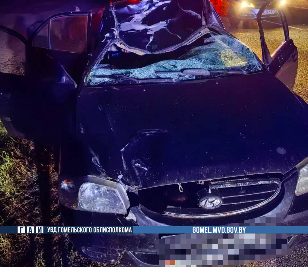 В ДТП с лосем под Калинковичами погиб пассажир