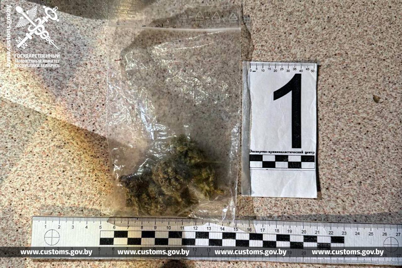 Гражданина Германии и жителя Эстонии задержали на беларусской границе с марихуаной