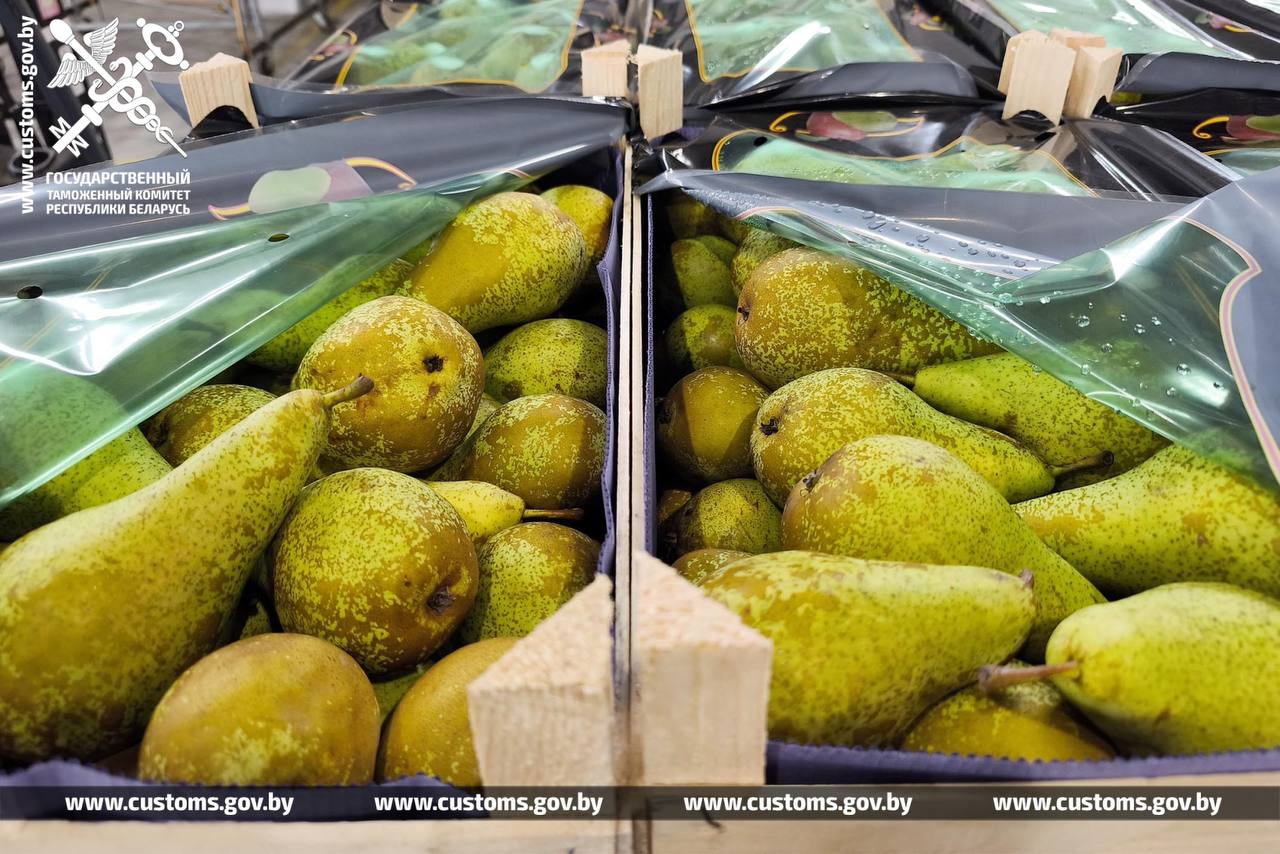 Таможня не пустила в Россию груши почти на миллион рублей