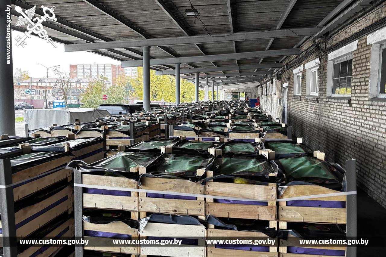 Таможня не пустила в Россию груши почти на миллион рублей