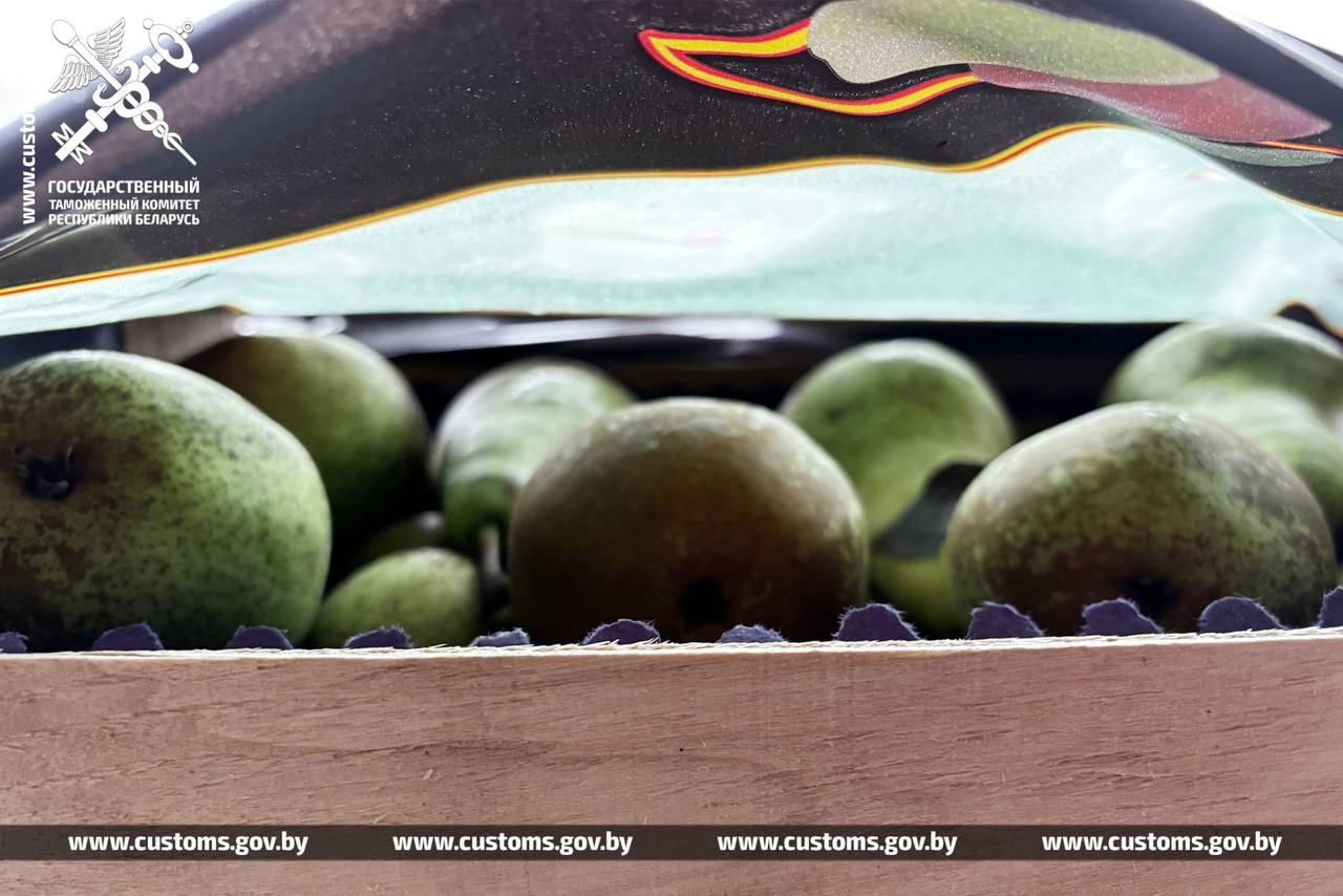 Таможня не пустила в Россию груши почти на миллион рублей