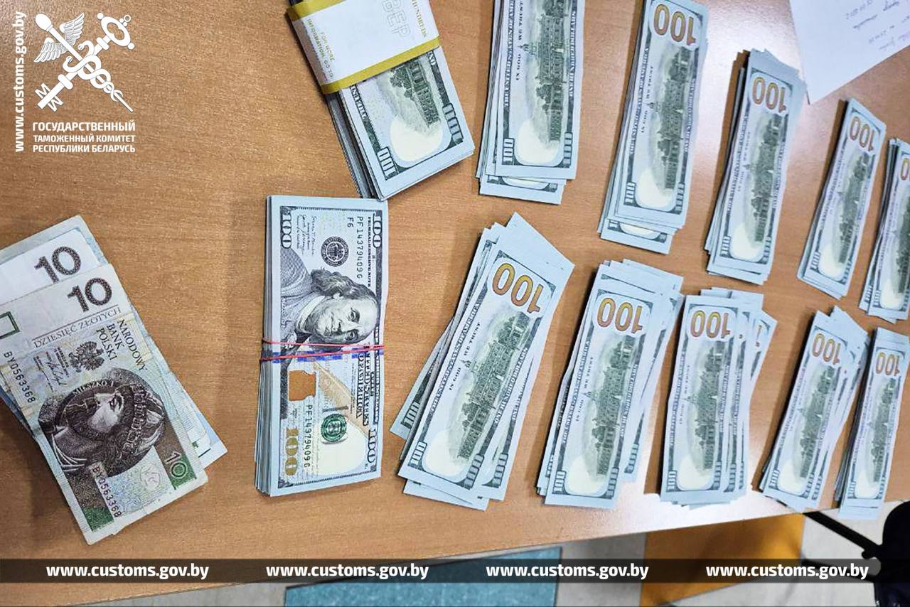 Таможня изъяла у гражданина Украины более 66 тысяч долларов