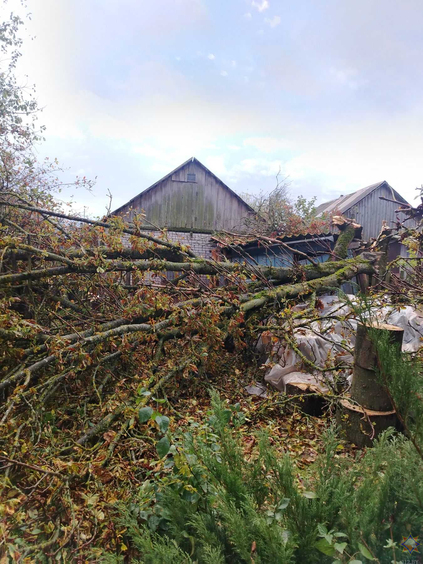 МЧС подвело итоги воскресной непогоды