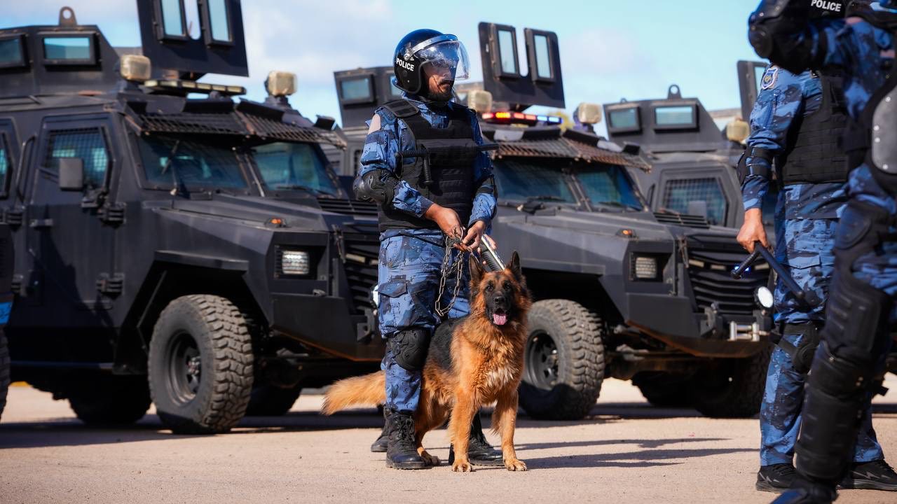 Делегация МВД отправилась в Ливию обсуждать сотрудничество в сфере безопасности