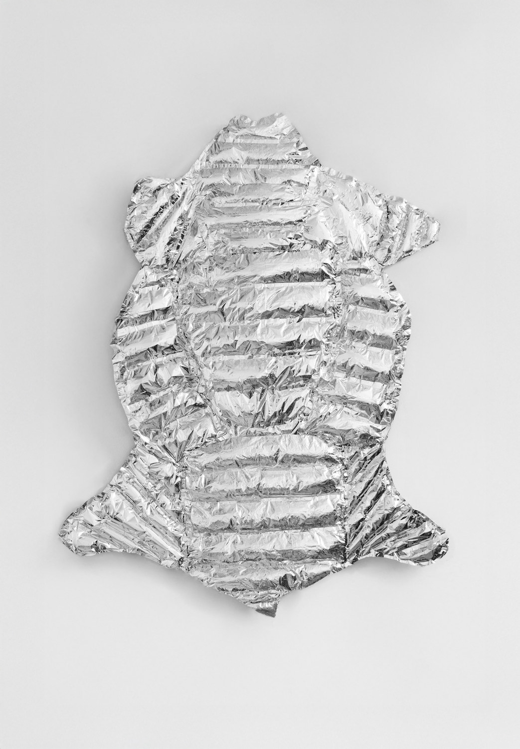 Беларуская куратарка і мастакі дапамагаюць WWF Polska выратаваць зямлю на Падляшшы