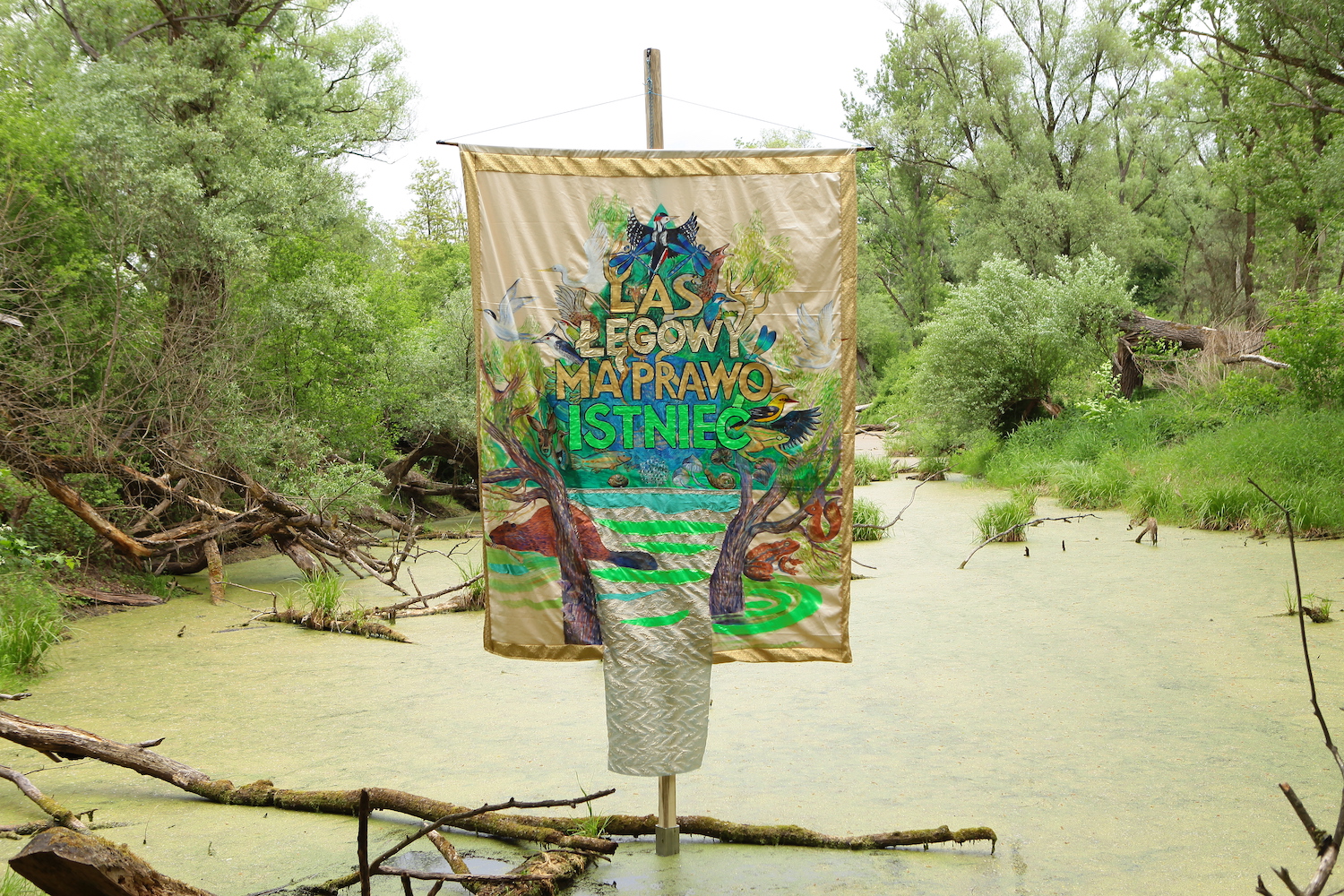 Беларуская куратарка і мастакі дапамагаюць WWF Polska выратаваць зямлю на Падляшшы