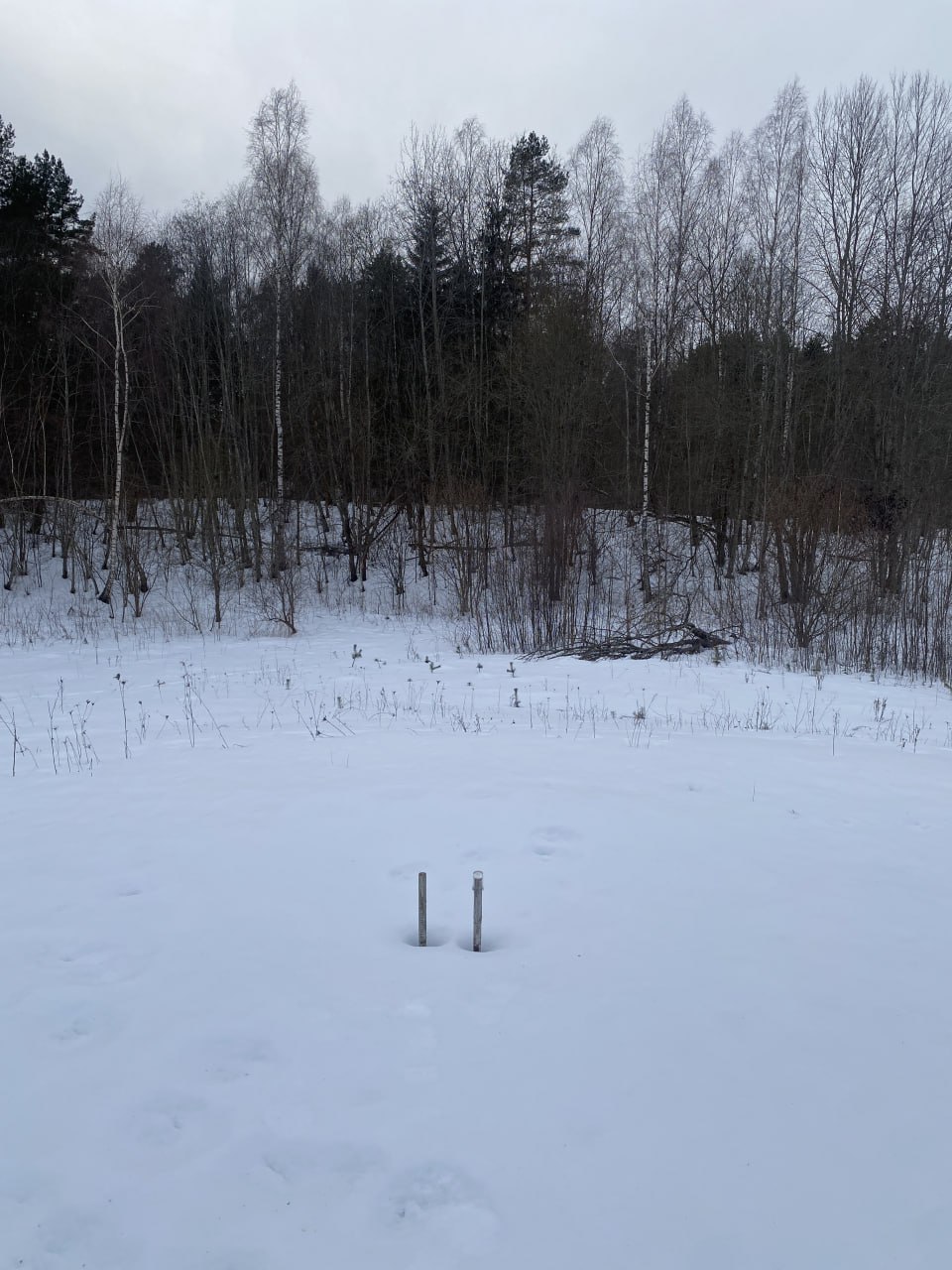 У сеціве з'явіліся здымкі знішчанага помніка паўстанцам 1863 года ў вёсцы Слабодка Астравецкага раёна