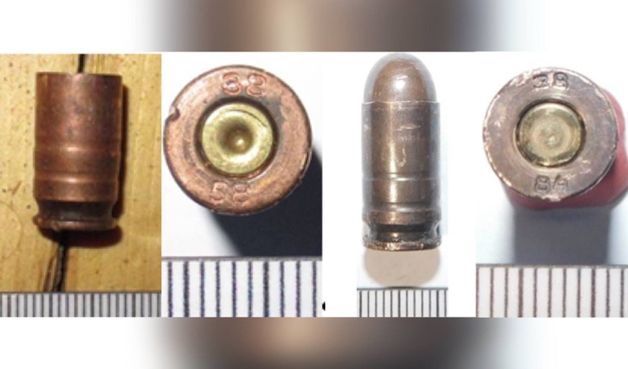 СК рассказал подробности дела Липского, убитого при задержании, и его родителей