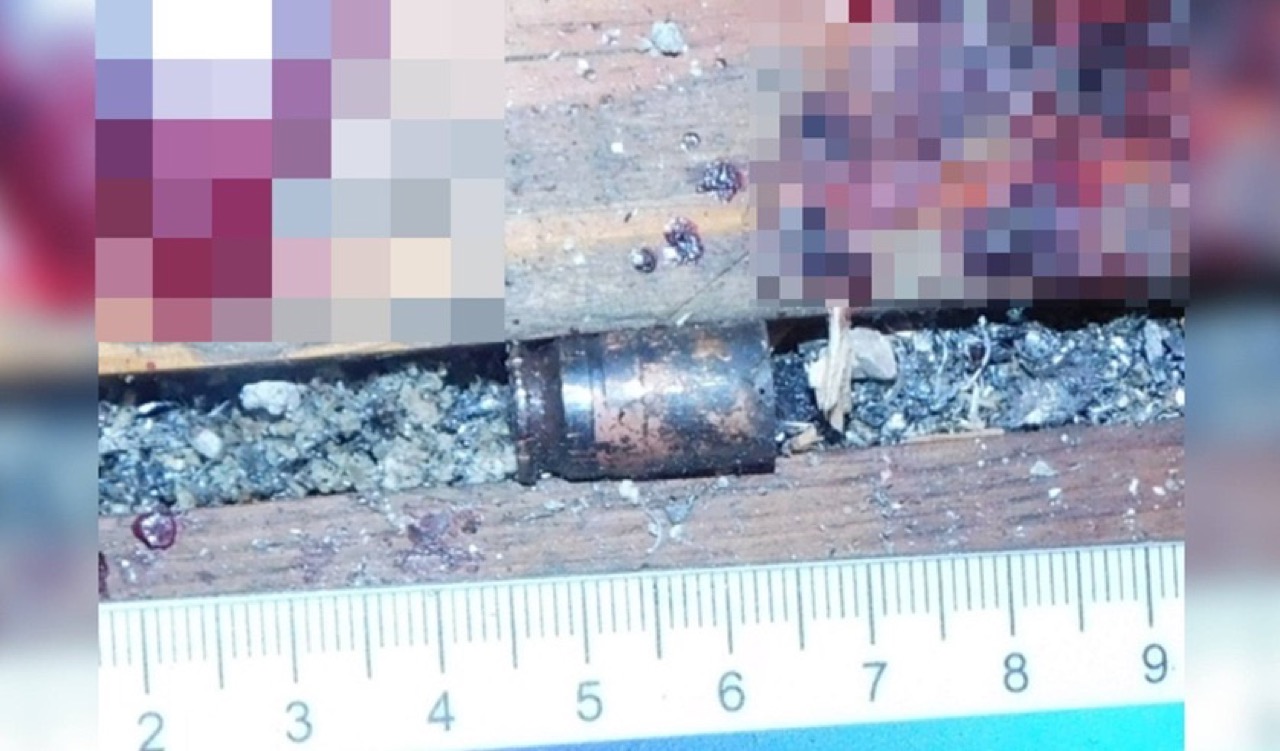 СК рассказал подробности дела Липского, убитого при задержании, и его родителей