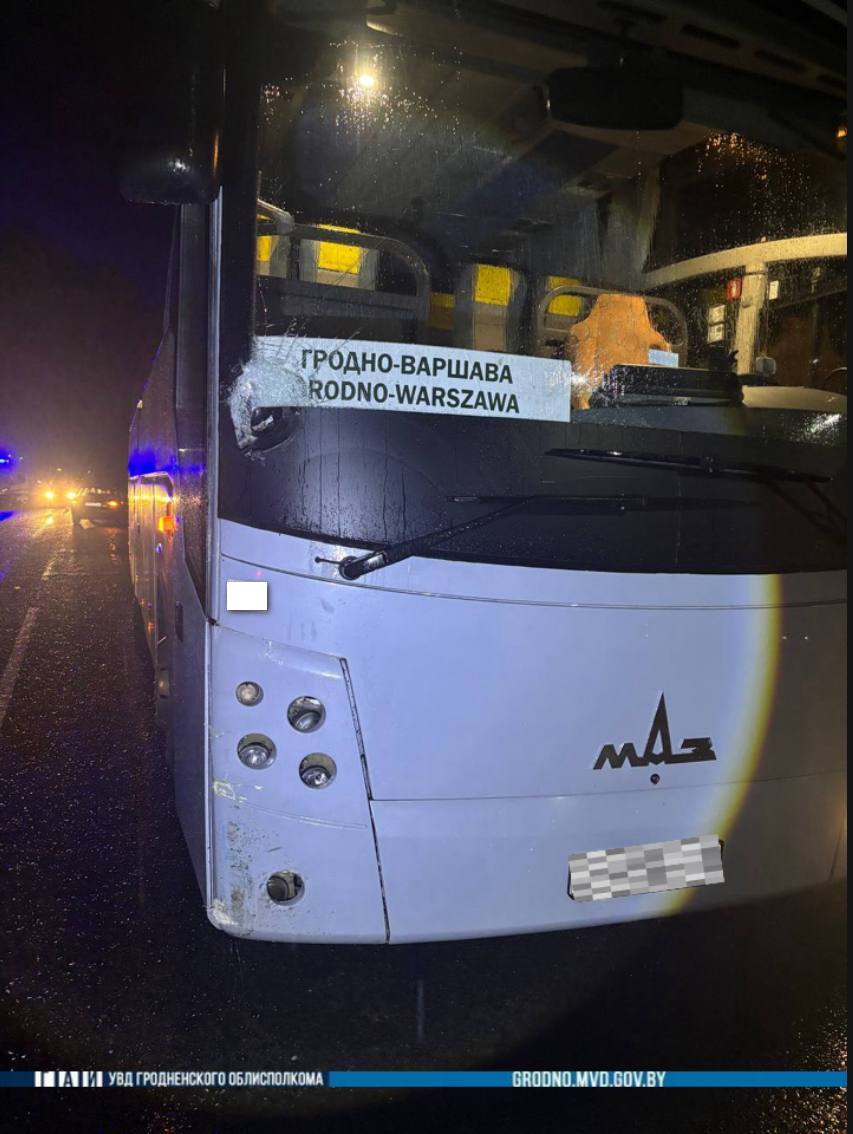 Автобус Гродно-Варшава насмерть сбил велосипедиста в Свислочском районе