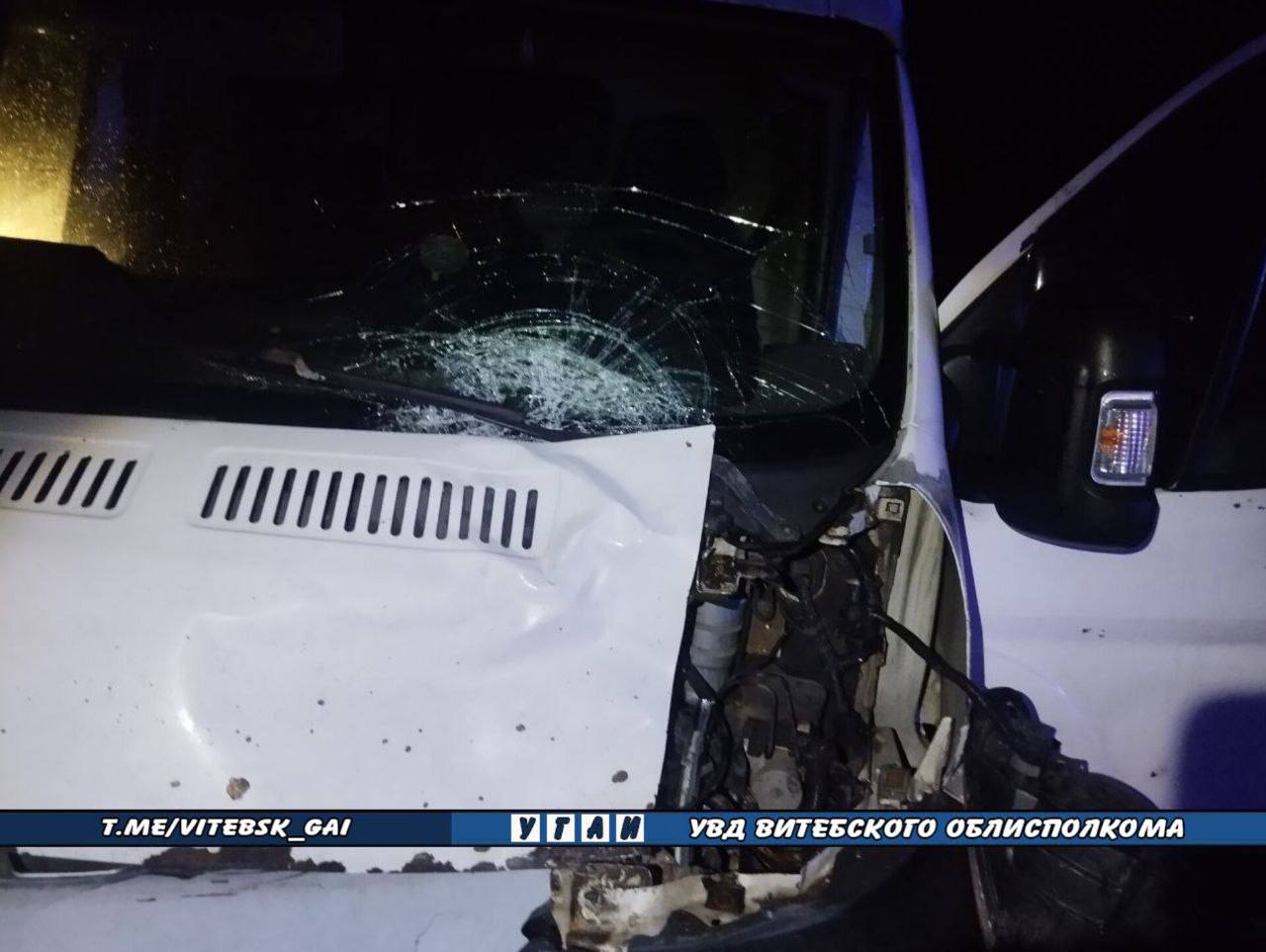 Женщина погибла под колесами микроавтобуса под Витебском