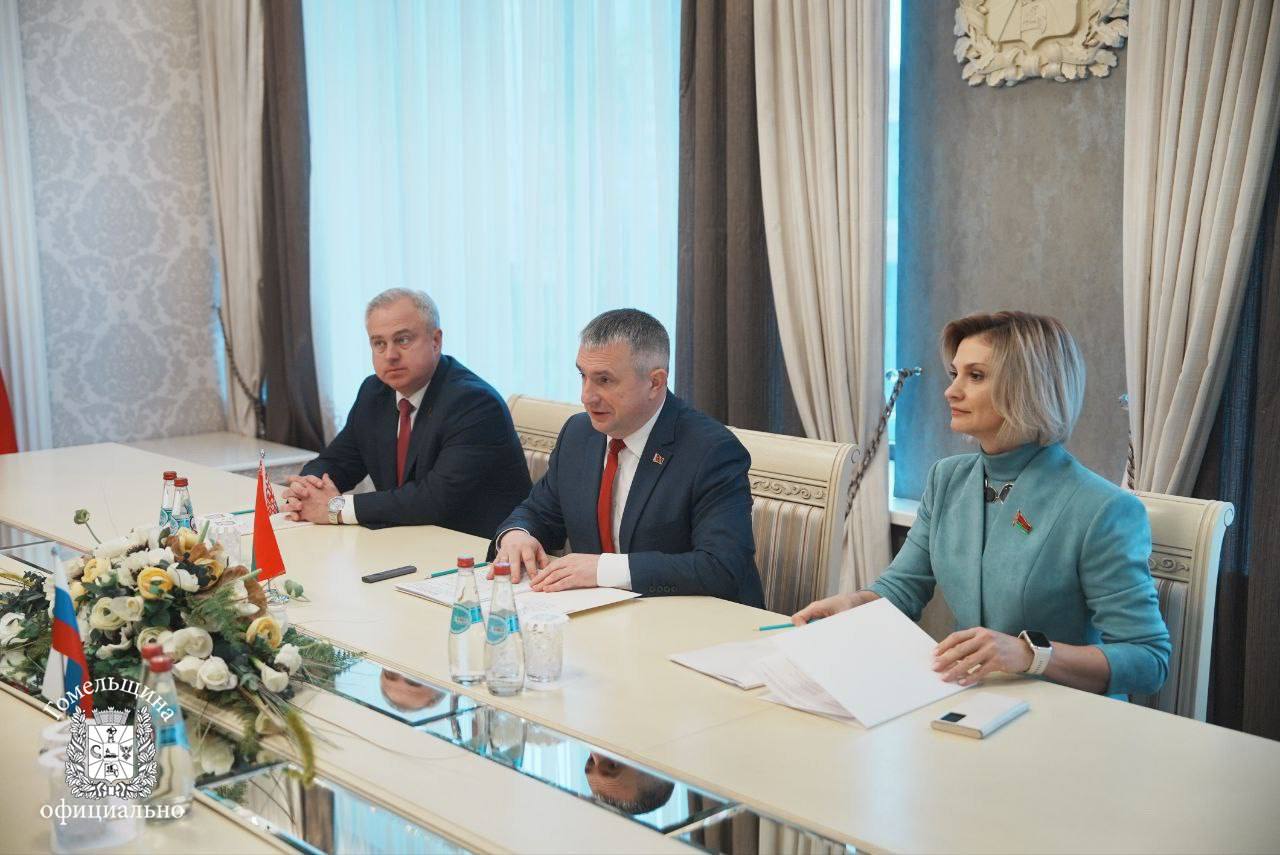 Мединский приехал в Гомель