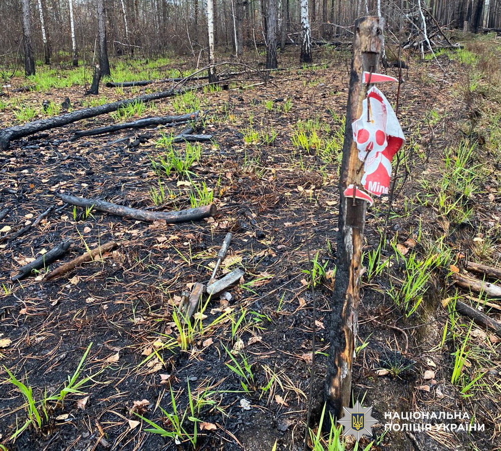 Two Cars Explode in Zhytomyr Region Near Belarus Border, Killing Five