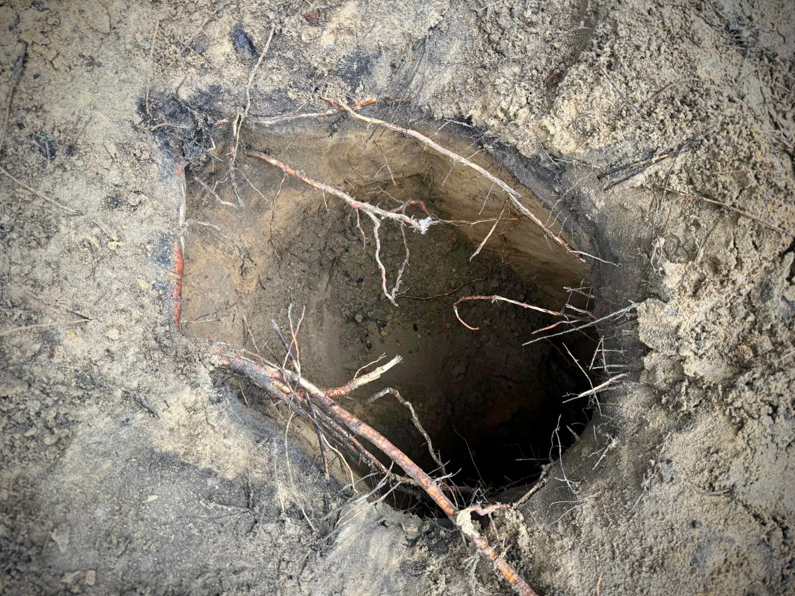 Polish Border Guards Discover New Tunnel on Belarus Border; 130 People Detained