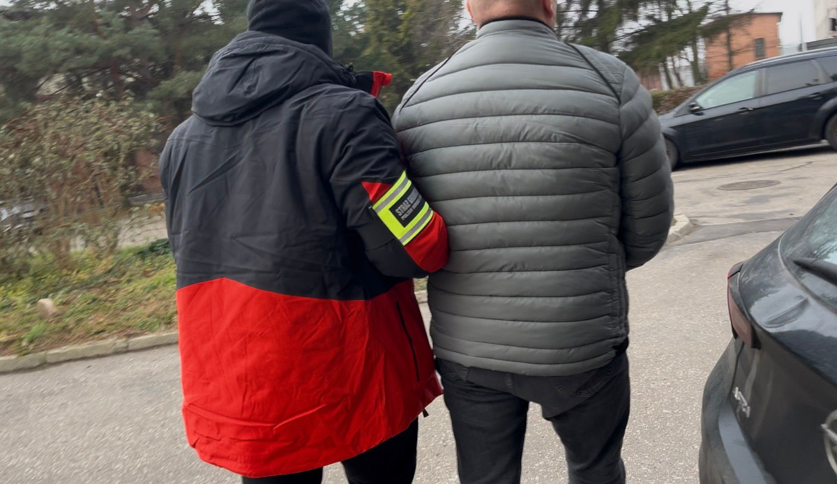 В Польше задержаны 5 человек по делу о поставках фанеры из Беларуси и России