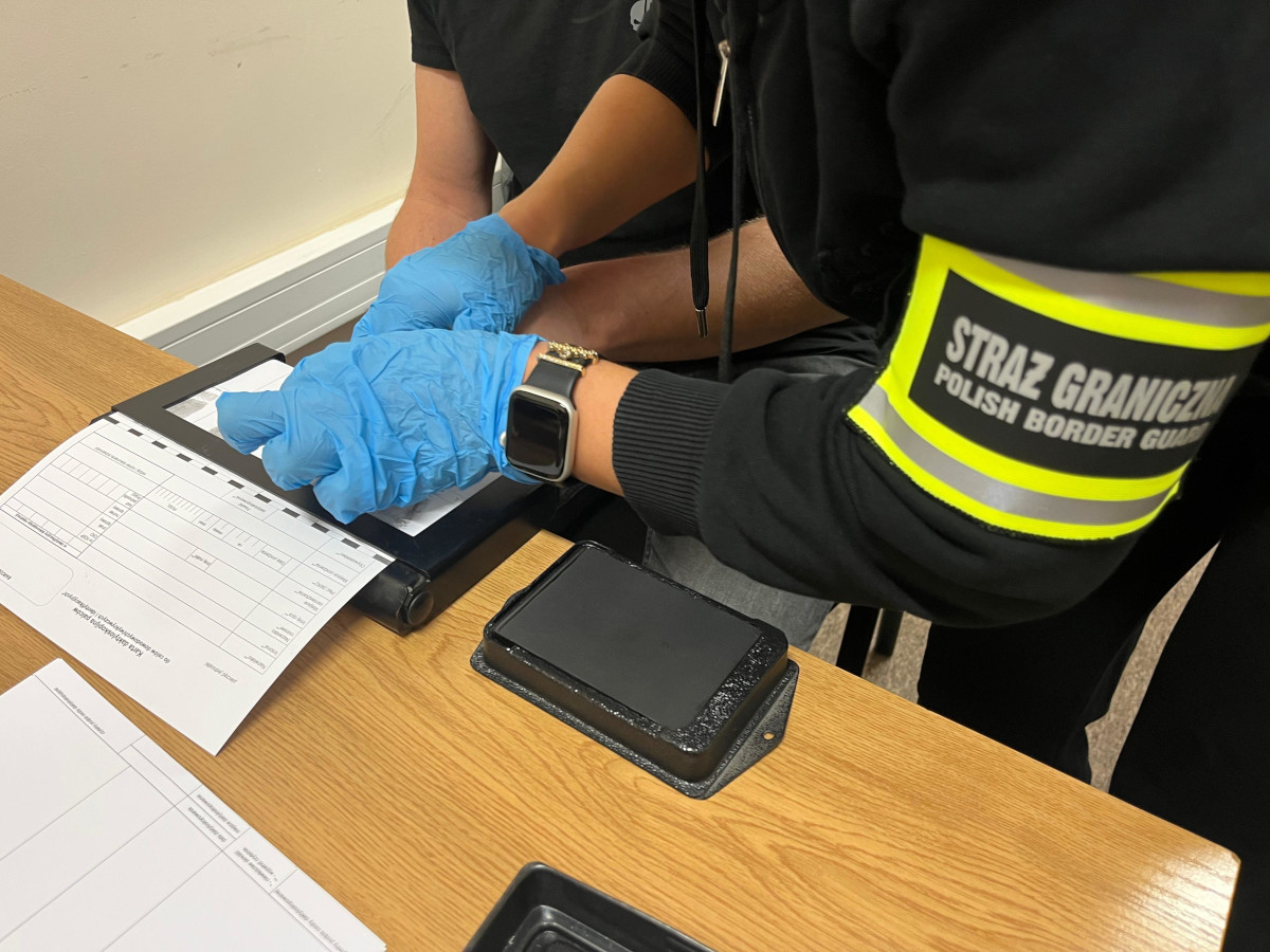 В Польше задержаны 5 человек по делу о поставках фанеры из Беларуси и России