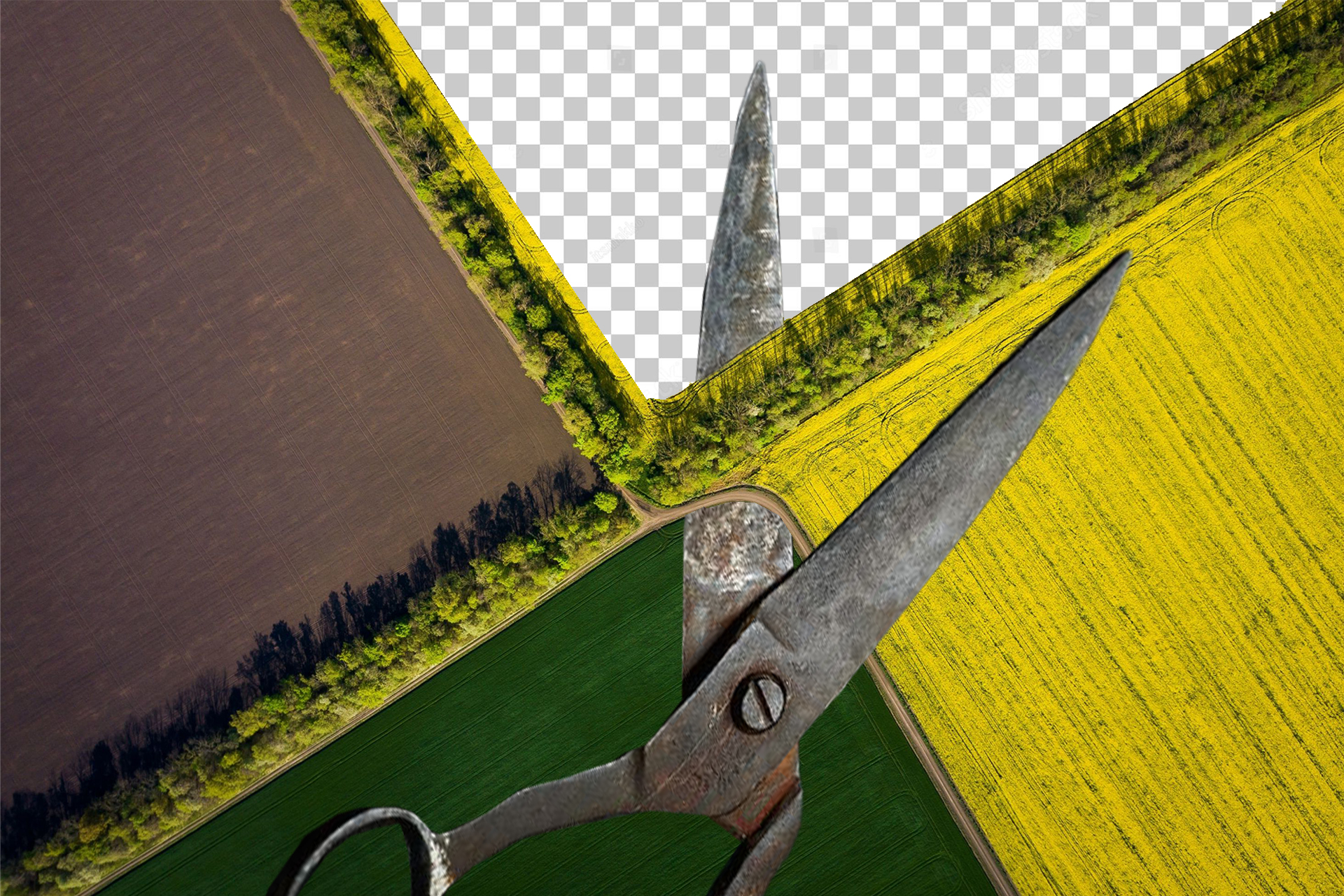 Между ЖЖ и мемуарами: бум «автофикш» в литературе из Беларуси