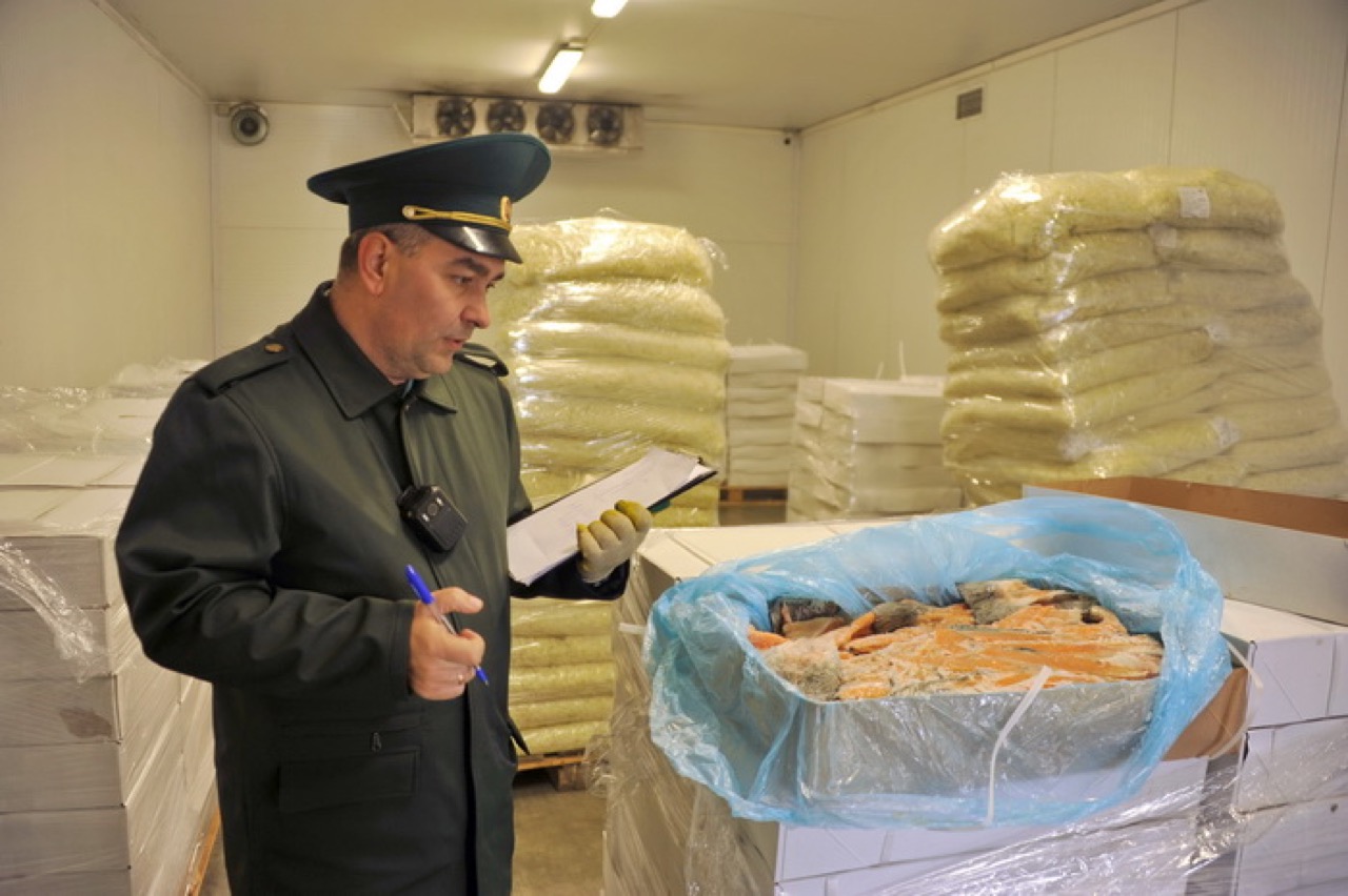Лосось везли в Россию из Беларуси под видом лука