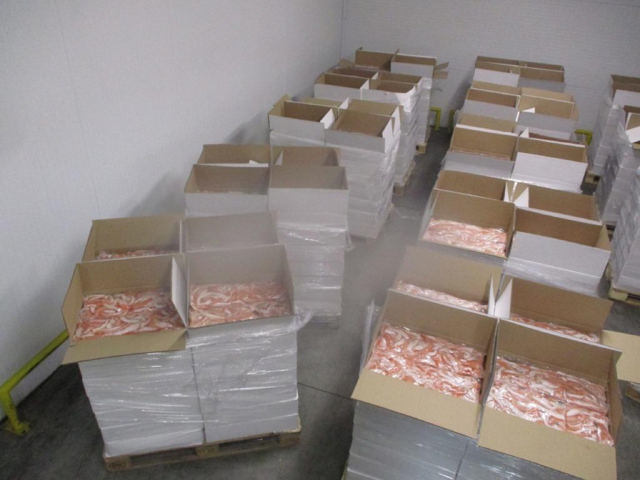 Лосось везли в Россию из Беларуси под видом лука