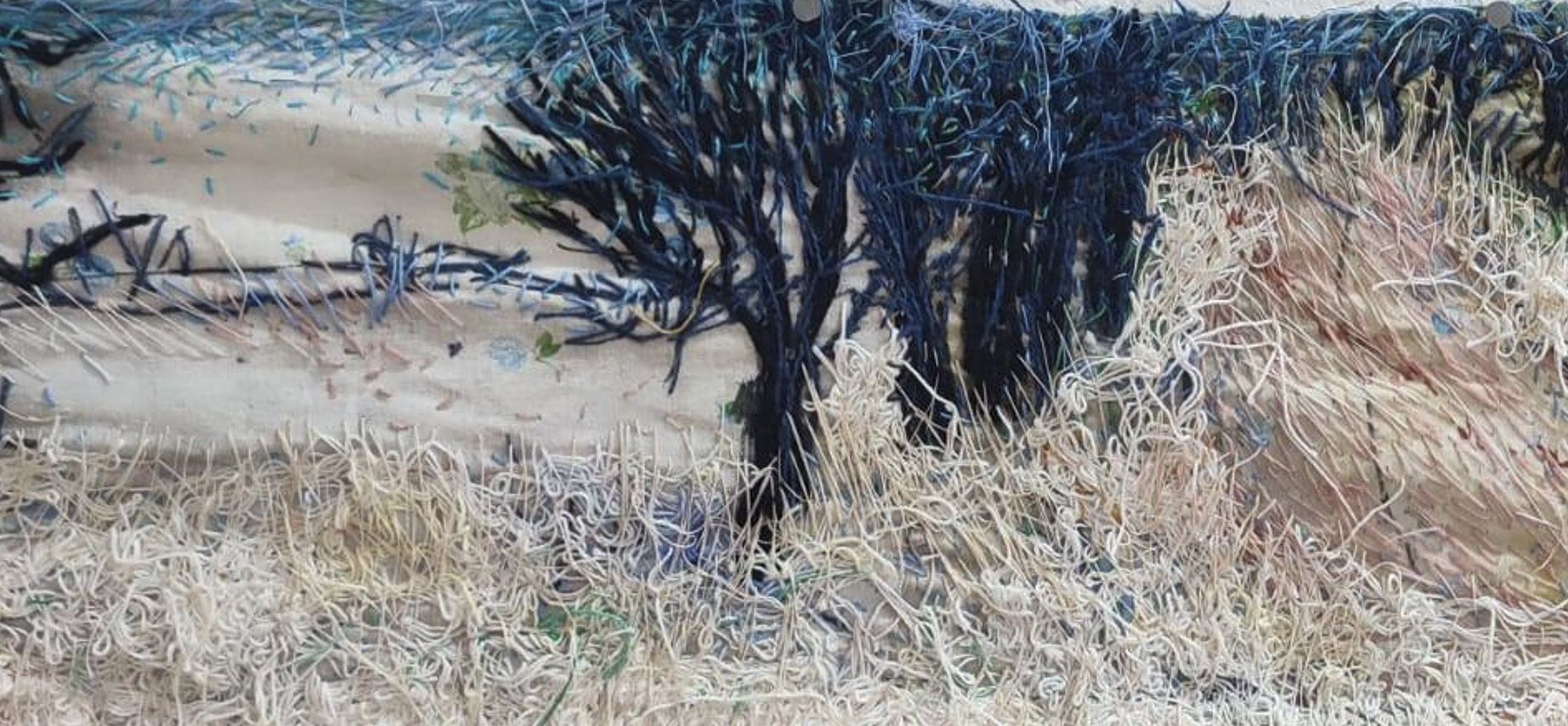 Мастачка з Падляшша Малгажата Дмітрук паказала на трыенале ў Лодзі дваццаціметровы твор пра мяжу і малую радзіму