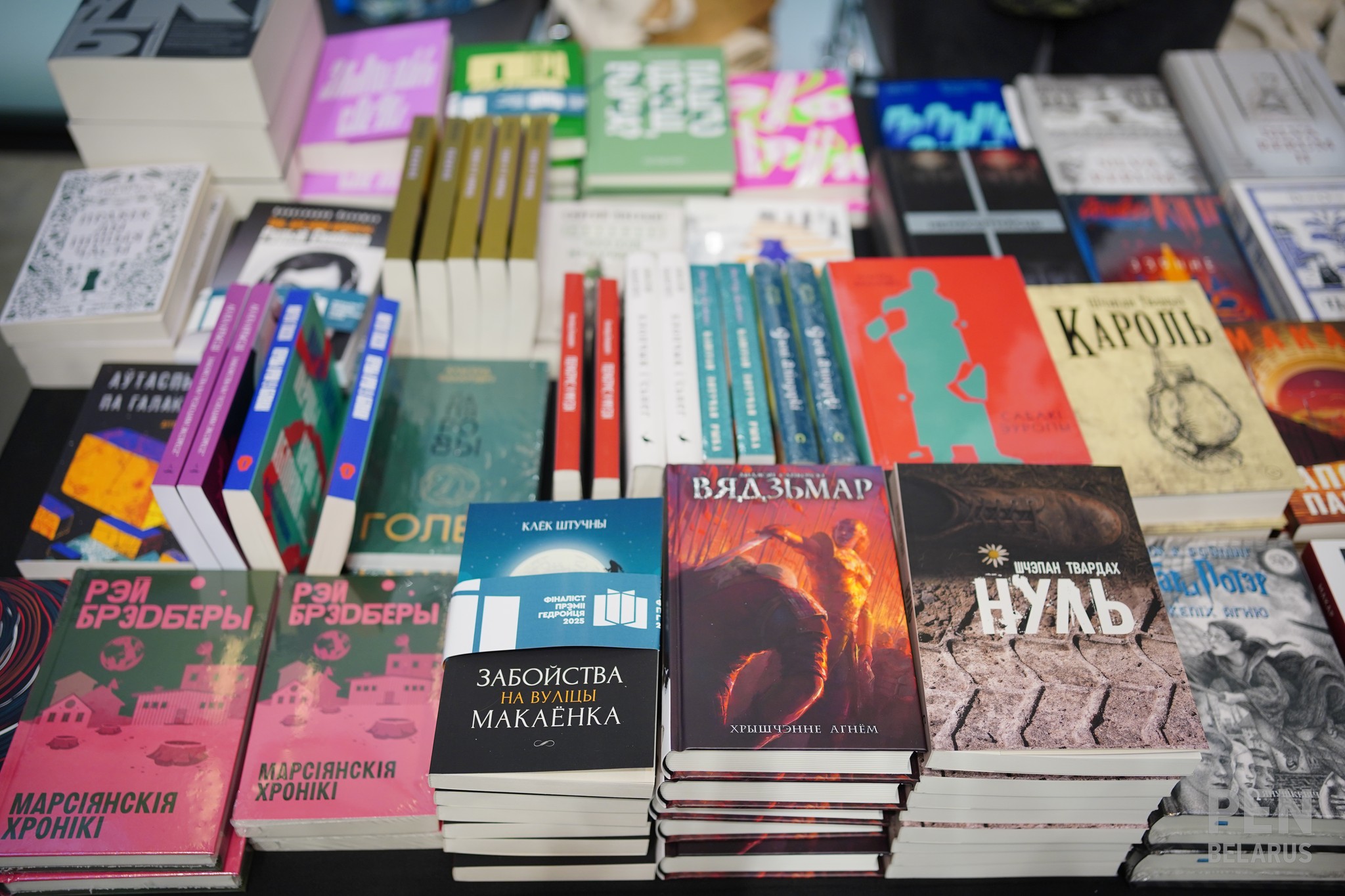 «У гэты пракляты час таго, што мы маем, ужо вельмі шмат»: вынікі года ў літаратуры