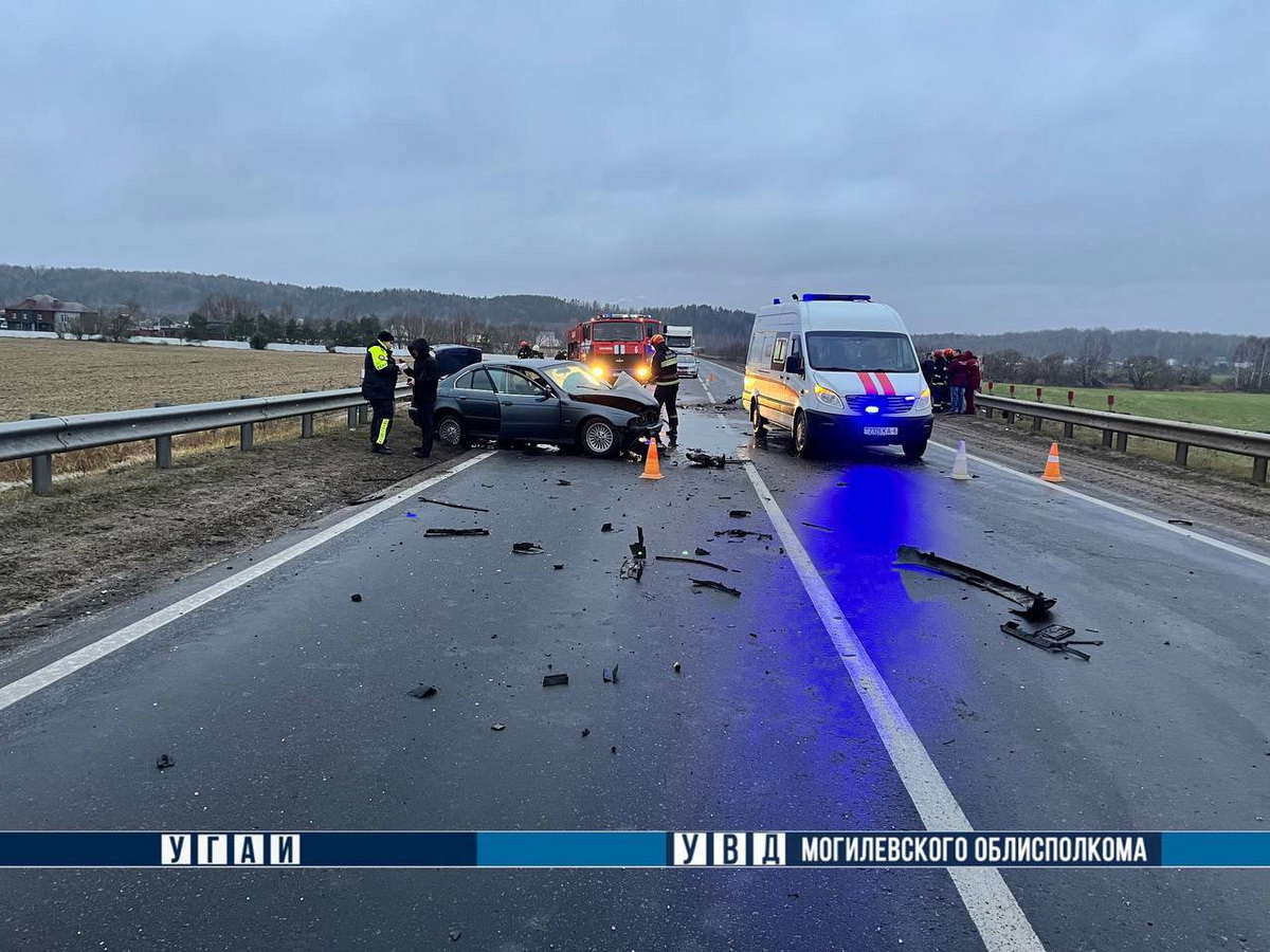 43-летний житель Горок погиб в лобовом столкновении под Могилевом