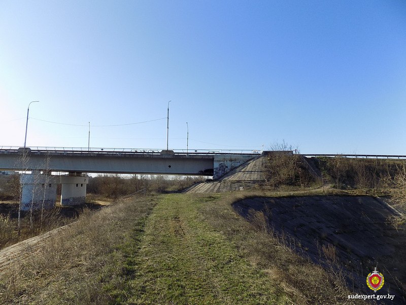 ГКСЭ рассказал про обстоятельства жестокого убийства в Бобруйске