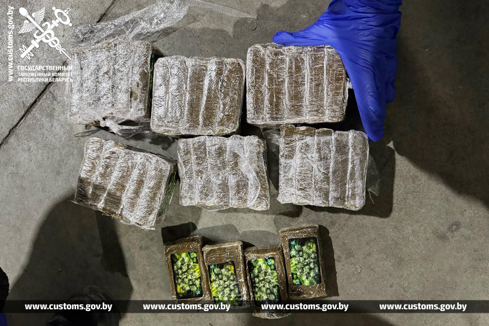 1.3 Tonnes of Hashish and Mephedrone: Customs Committee Announces Seizure of Largest Drug Shipment