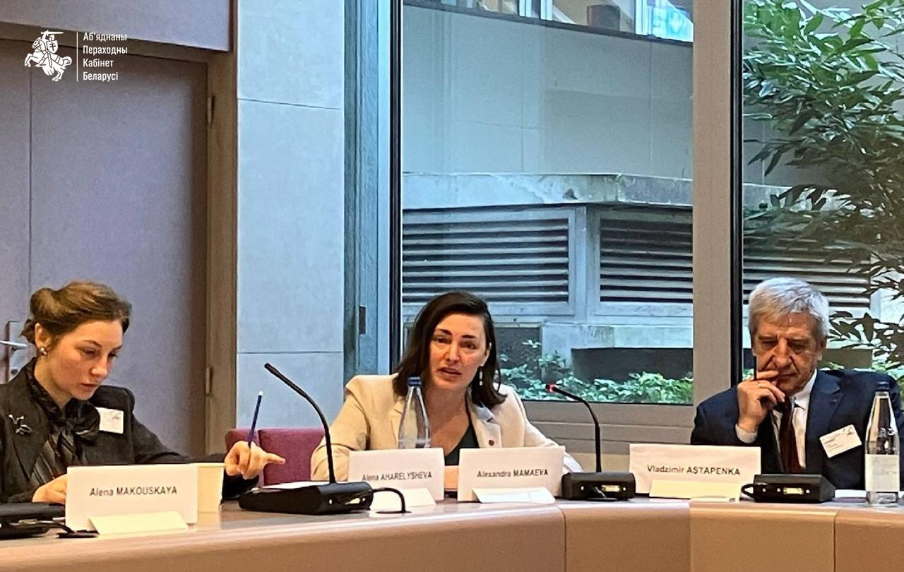 Контактная группа Совета Европы и демократической Беларуси подвела итоги работы