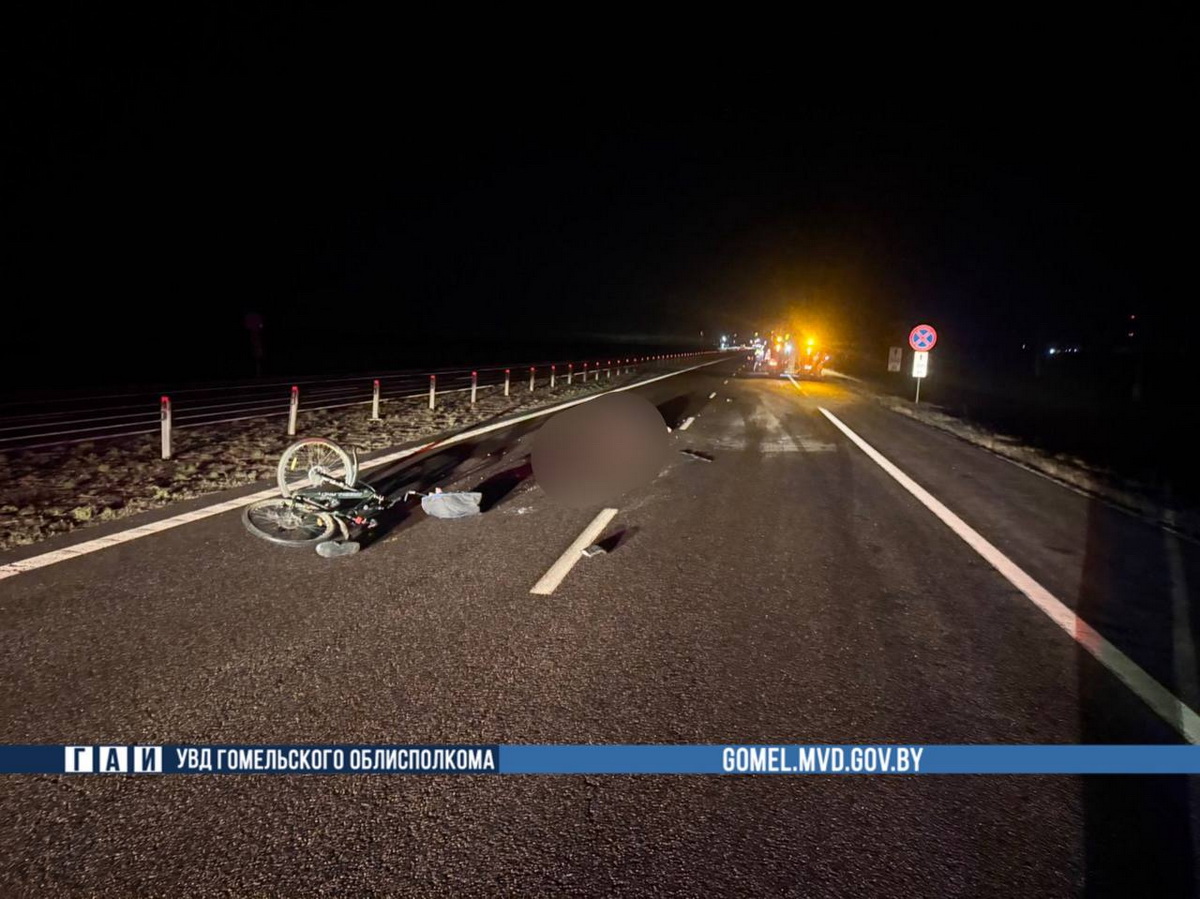 МАЗ насмерть сбил велосипедиста в Жлобинском районе