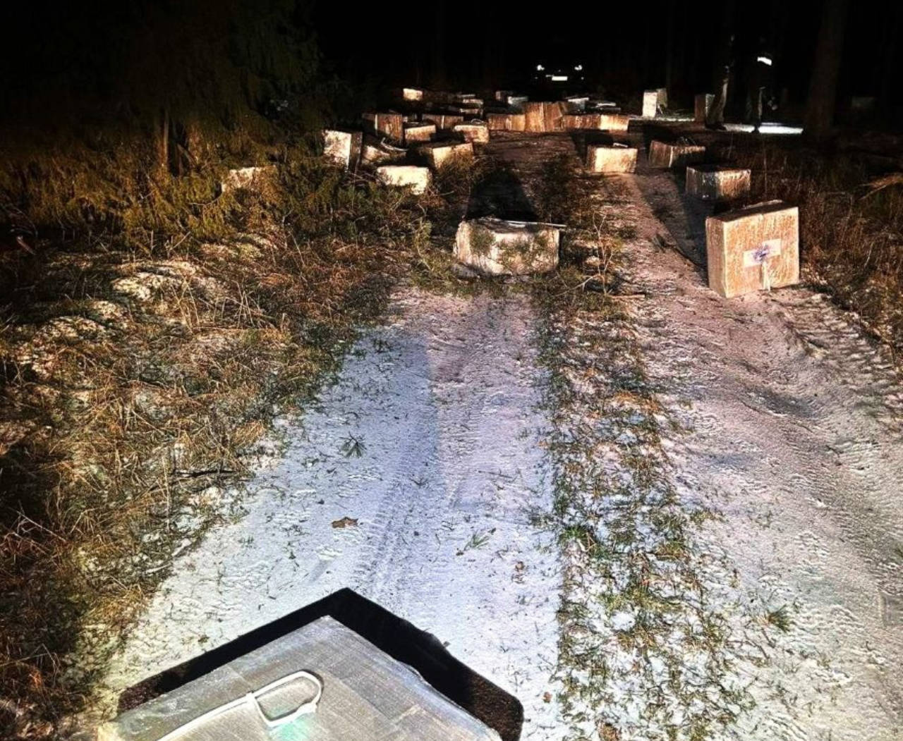 Сигареты на более 250 тысяч евро нашли в литовском лесу