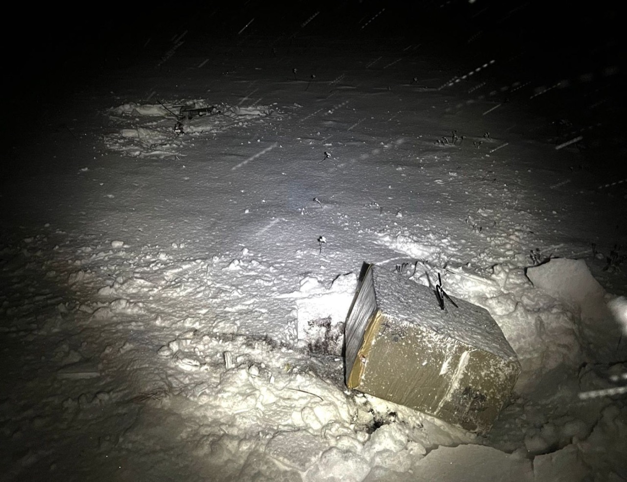 Дрон с сигаретами перехватили в Литве