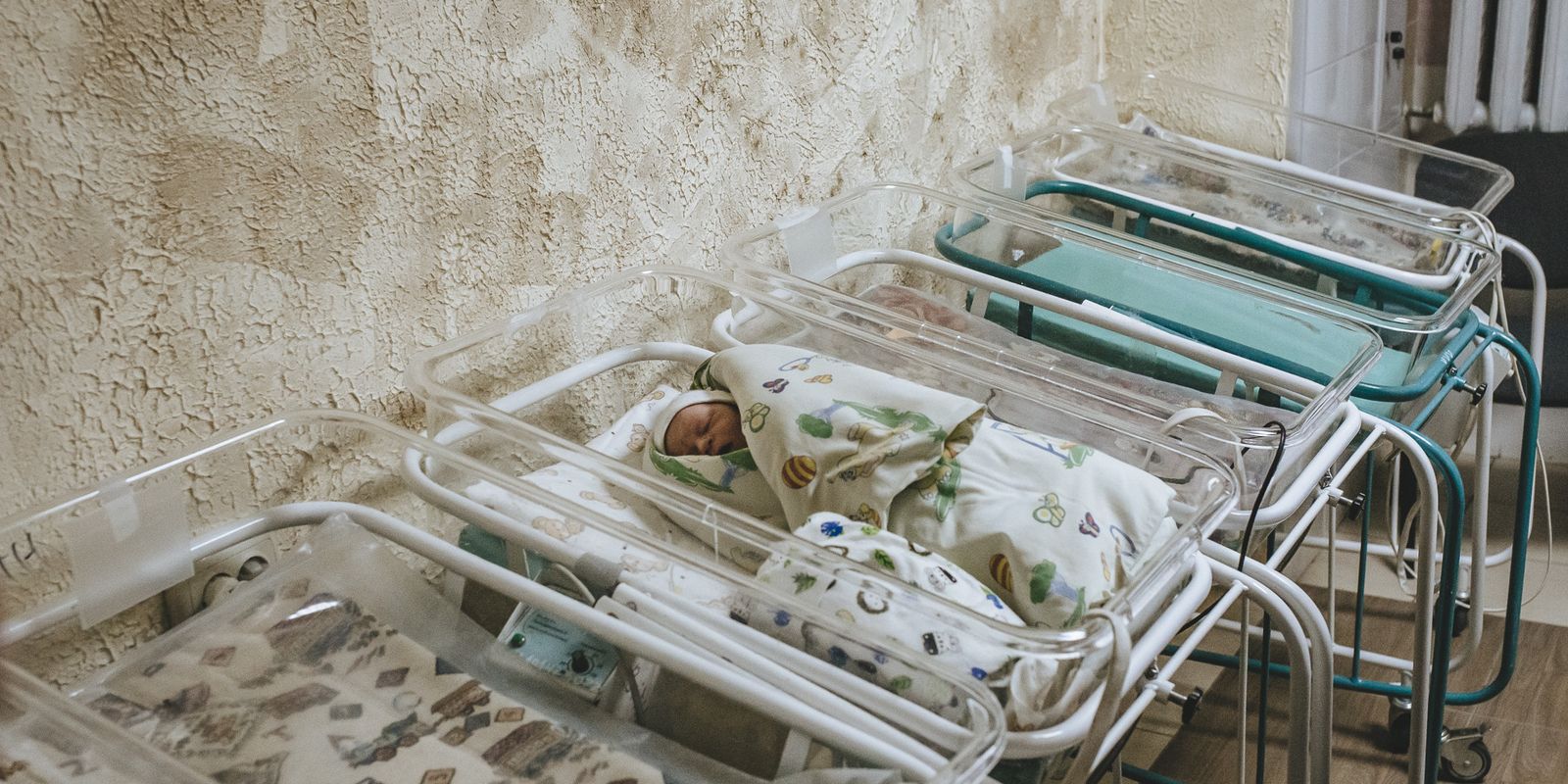 Ад «Куражу» да «Інкубатара»: Аляксей Палуян распрацуе свой новы мастацкі фільм на Берлінале