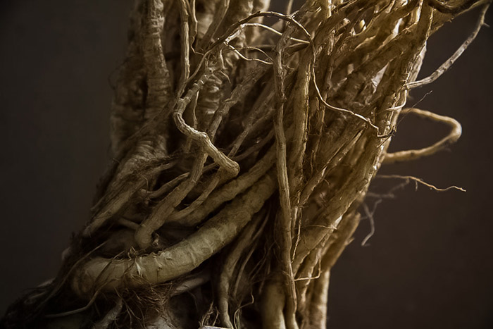 Сёння дзень памяці Міхала Анемпадыстава. Узгадваем яго метафізічны фотапраект «Under Ground»