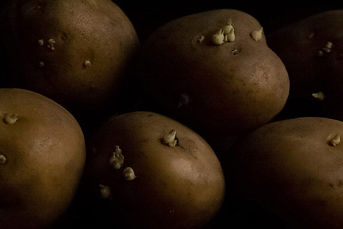 Сёння дзень памяці Міхала Анемпадыстава. Узгадваем яго метафізічны фотапраект «Under Ground»