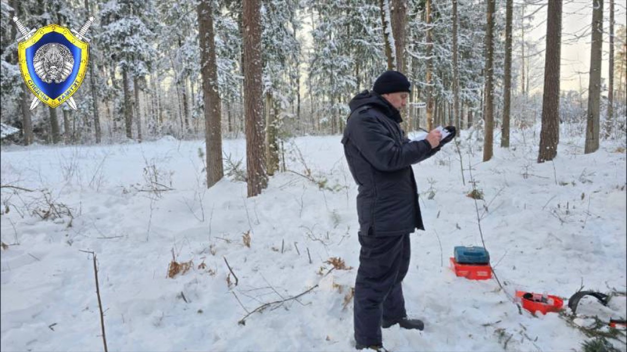 Рабочий погиб при валке леса в Костюковичском районе