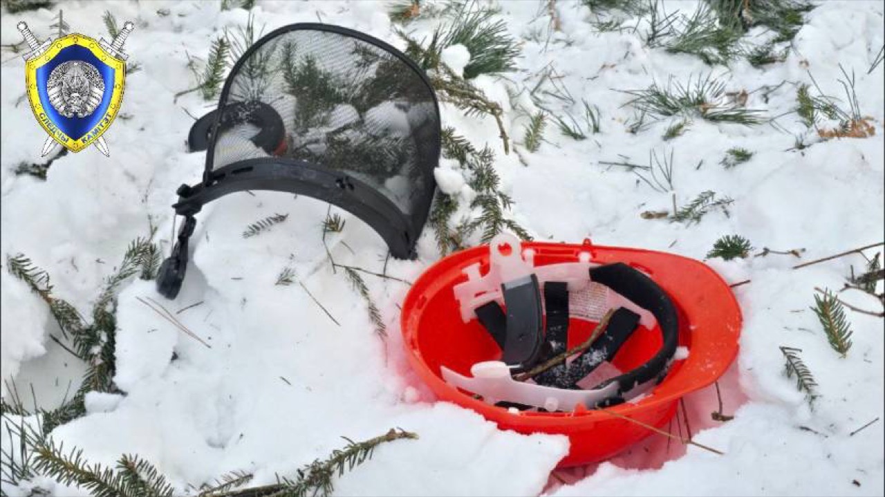 Рабочий погиб при валке леса в Костюковичском районе