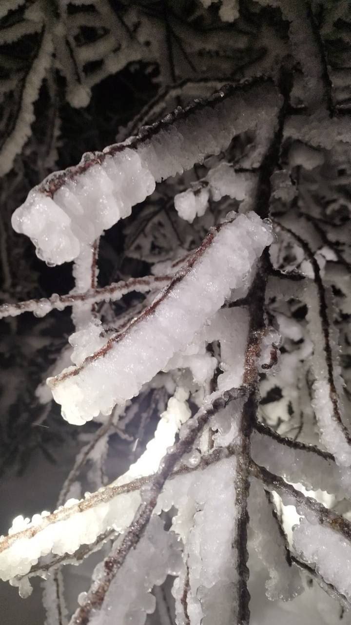 Непогода за сутки нарушила энергоснабжение 227 населенных пунктов