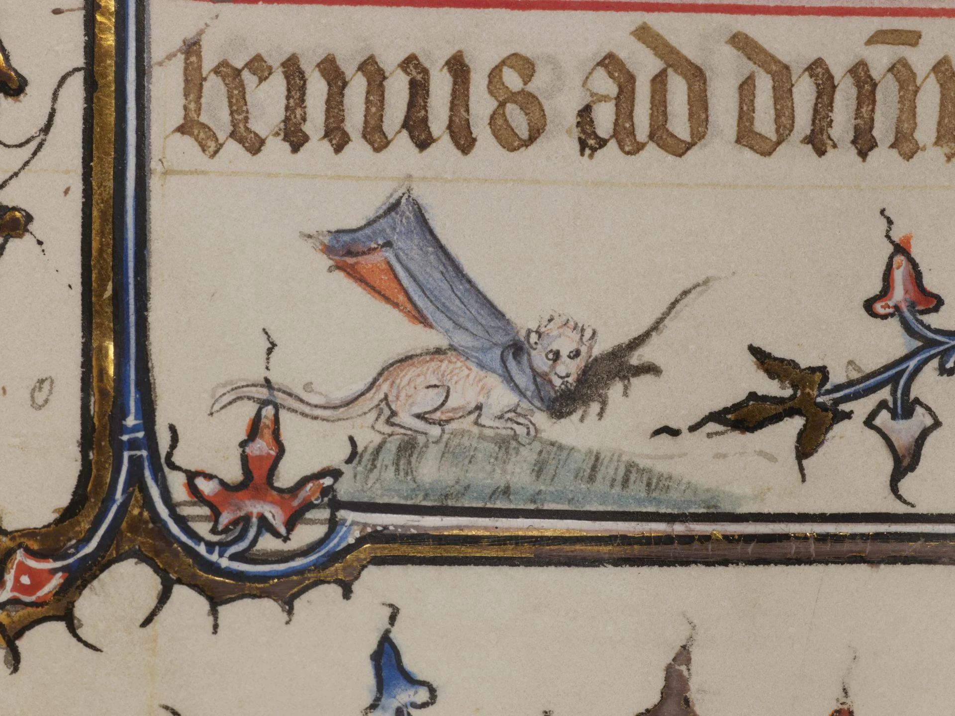 «Лапы на пергаменце»: у ЗША зрабілі мілую выставу пра катоў у старых рукапісах, якая нарадзілася з сярэднявечнай неспадзянкі