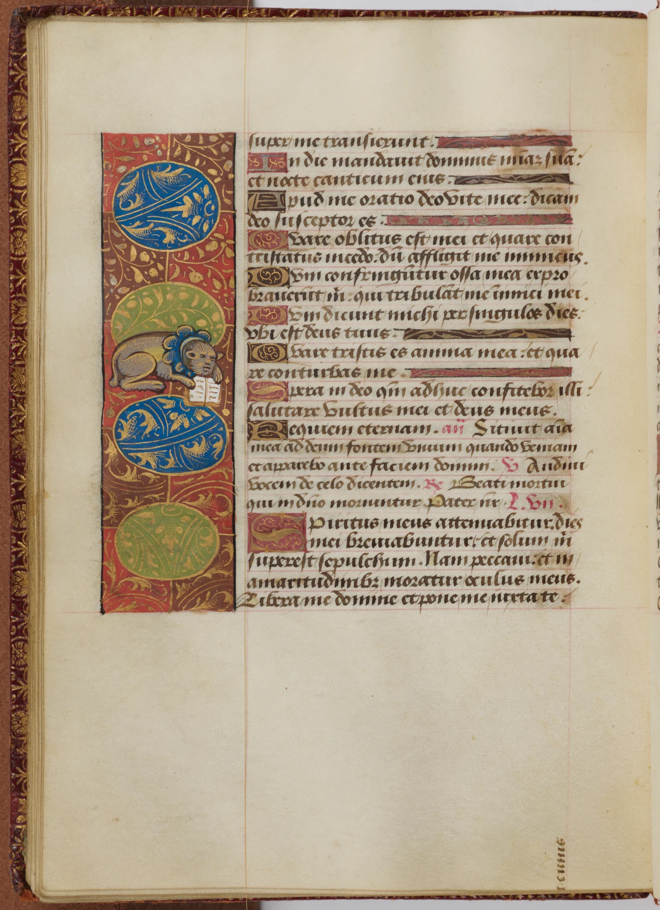 «Лапы на пергаменце»: у ЗША зрабілі мілую выставу пра катоў у старых рукапісах, якая нарадзілася з сярэднявечнай неспадзянкі