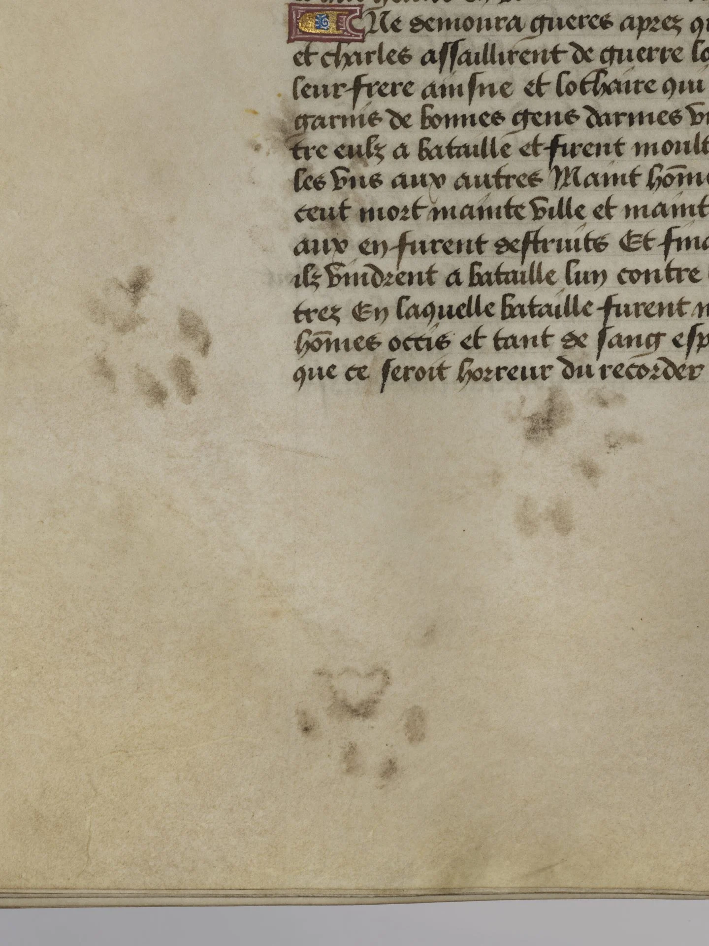 «Лапы на пергаменце»: у ЗША зрабілі мілую выставу пра катоў у старых рукапісах, якая нарадзілася з сярэднявечнай неспадзянкі