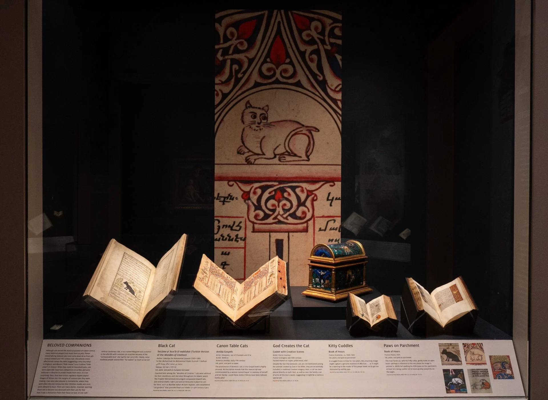 «Лапы на пергаменце»: у ЗША зрабілі мілую выставу пра катоў у старых рукапісах, якая нарадзілася з сярэднявечнай неспадзянкі