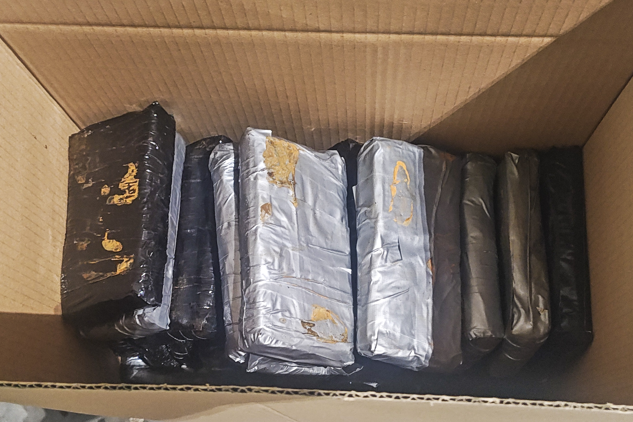 Польские пограничники задержали беларуса с 111 кг гашиша