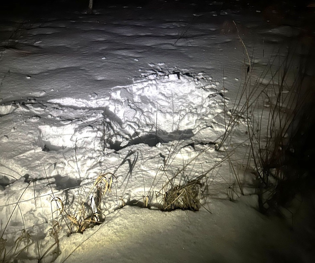 Дрон с сигаретами прилетел из Беларуси в Литву. Задержаны три человека